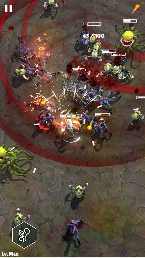 无名起源（Nameless Origin）