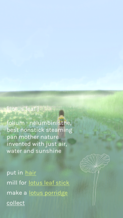 freeland心旷之地