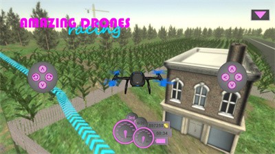 惊人的无人机比赛（Amazing Drones:Racing）